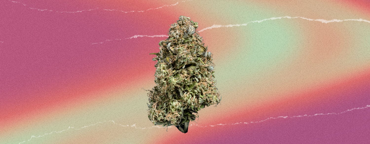 The Original Z : On ne peut pas faire plus sucré - RQS Blog